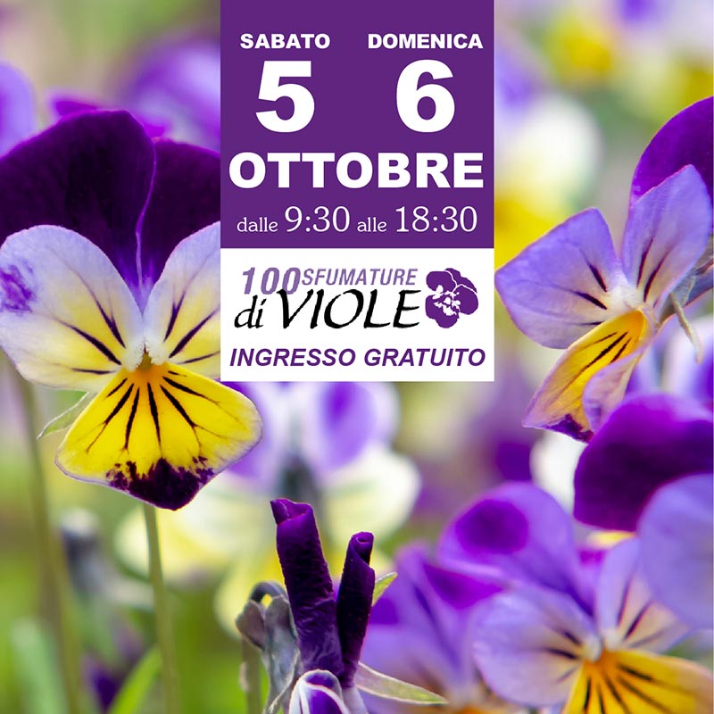 Garden La Primula Evento 100 sfumature di viole