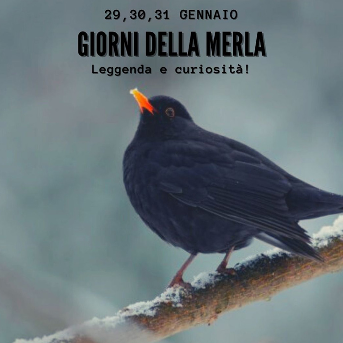 Giorni della Merla legenda e proverbi