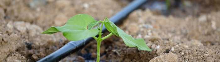 Sistema a goccia irrigazione orto