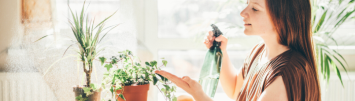 Come evitare di far morire piante, alberi, fiori con il gran caldo