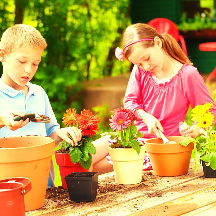 Garden La Primula le piante per bambini